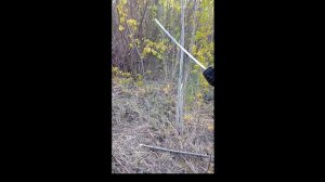 Удар Катаной. Рубка Катаной дерева без замаха