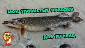 ПОВОДКИ ДЛЯ ЖЕРЛИЦ.