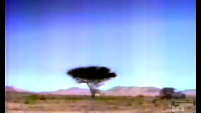 Kia Sportage Commercial 1995 смотреть онлайн