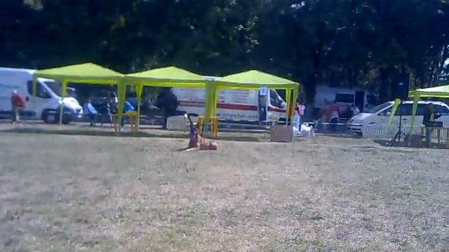 cacib 2010 sept (6).mp4 смотреть онлайн