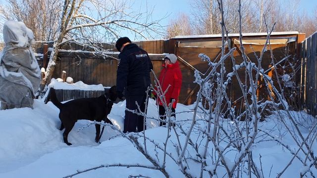 Полицейские нашли пропавшего лабрадора и вернули хозяйке смотреть онлайн