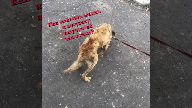 Второй шанс для Джокера. смотреть онлайн