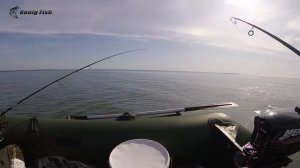 Судак на джиг и троллинг / Рыбалка в Калининградском заливе