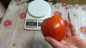 Дегустация : томат добрый молодец