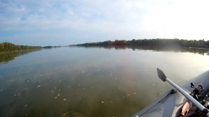 В поисках САЗАНА. Рыбалка на реке Обь.