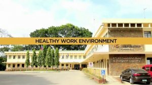 Atlas Mining AVP (2013)