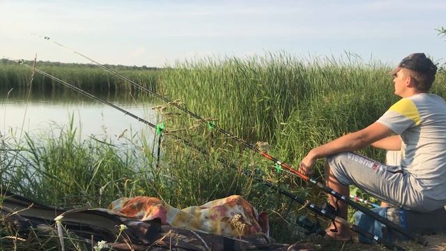 ЛОВЛЯ КАРАСЯ. Рыбалка на поплавок. Рыбалка на фидер. Рыбалка 2022. Осень смотреть онлайн