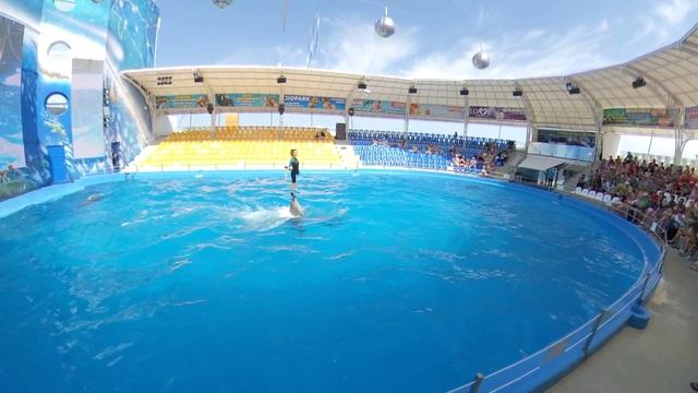 Дельфинарий Немо. Представление. Одесса. 2019. Полный Улёт. смотреть онлайн