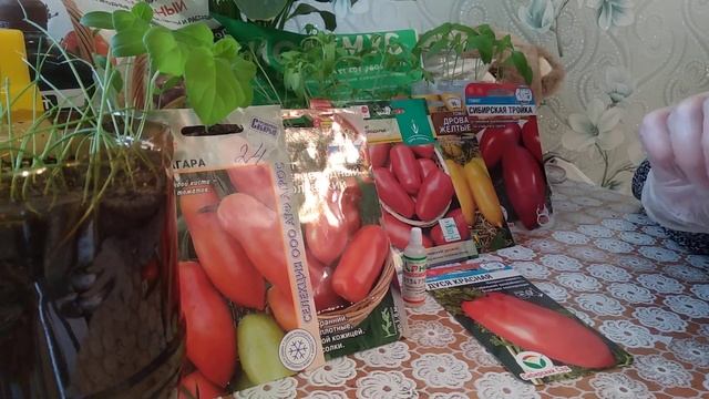 Засолочные сорта и гибриды томатов! смотреть онлайн