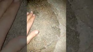 Покрытия бетона жидким пластиком