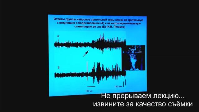 Полуэктов. Жостово смотреть онлайн