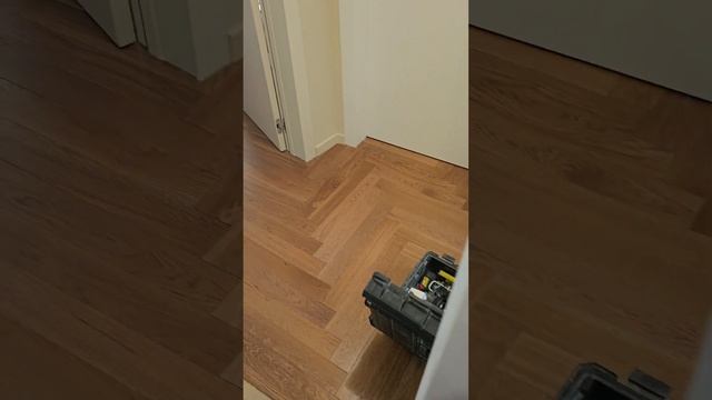 Аквариум встраиваемый в стену. Как вам такое решение??? смотреть онлайн