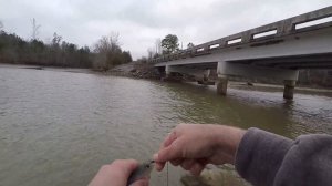 2 LB LINE Ultralight Fishing Fun (Micro Crappie)