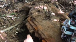 ЧТО СКРЫВАЮТ КУСТЫ ВДОЛЬ ДЕРЕВНИ? НАШЁЛ СБРОС! ГОРА ПОДКЛАДОК И АВТОСЦЕПКА. МЕТАЛЛОКОП.