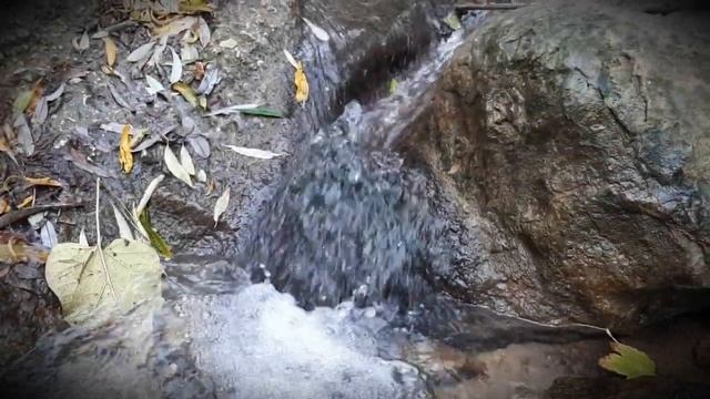 Мама навсегда... смотреть онлайн