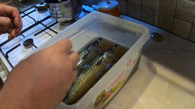 СКУМБРИЯ ПРЯНОГО ПОСОЛА|МАЛОСОЛЁНАЯ