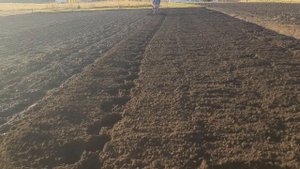 Осенняя фрезеровка фрезами целина по очень сырой почве
