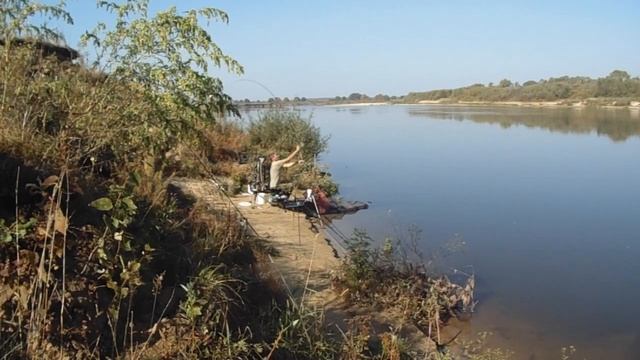 Фидер. Ока. Осень. К отчёту на сайте FION.RU смотреть онлайн