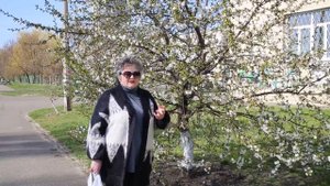 Как очистить старую чугунную сковородку