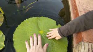 Лотосовые горы в Гуанчжоу.