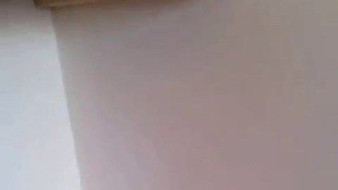 Аренда квартиры в центре города на ул Кременчугской/АЛЕКСАНДР Недвижимость