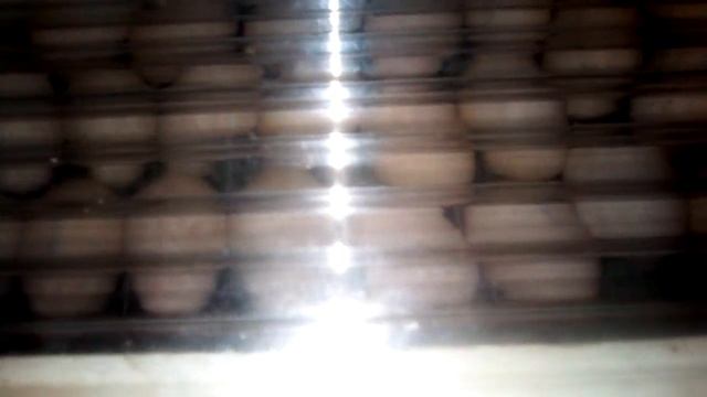 #совмесная инкубация #индоутка, #мулард , #гуси