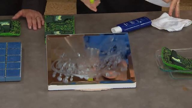 Green Glider Set of 2 Reusable Shammy & Microfiber Mop Pads with Dan Hughes смотреть онлайн