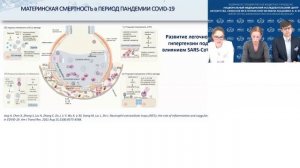 ВЛИЯНИЕ SARS-CoV 2 НА РЕПРОДУКТИВНОЕ ЗДОРОВЬЕ МУЖЧИН И ЖЕНЩИН