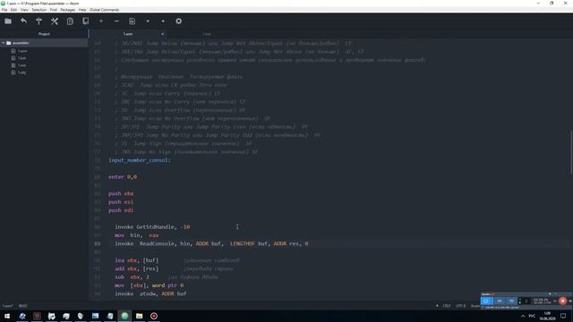 Ассемблер условная конструкция смотреть онлайн