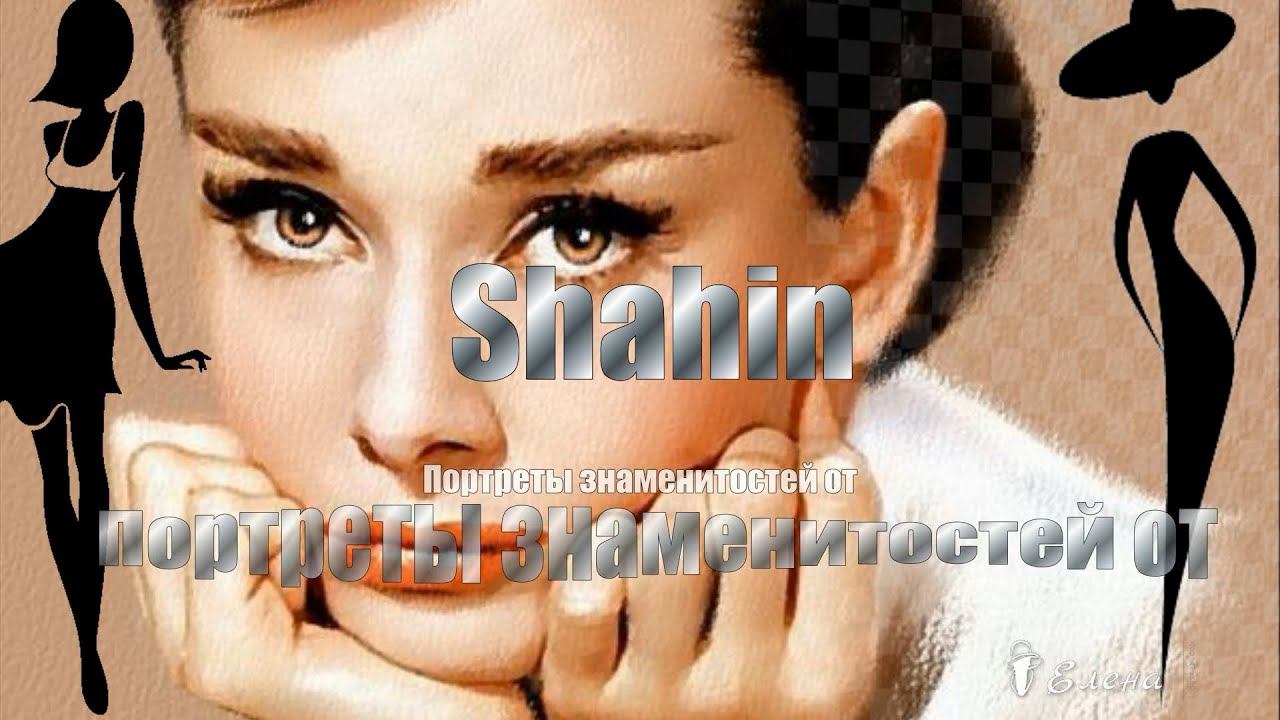 Портреты знаменитостей*   Художник  Shahin