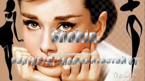 Портреты знаменитостей*   Художник  Shahin