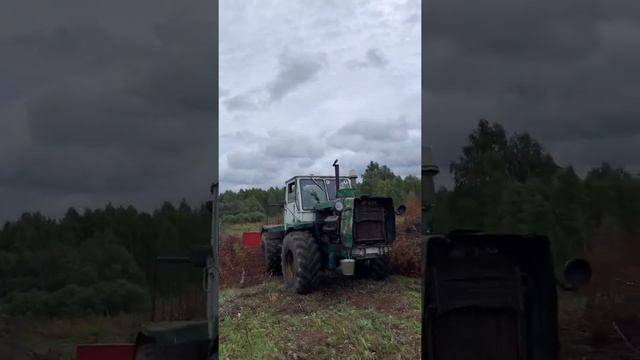 Рекультивация старопахотных земель смотреть онлайн