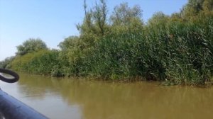 Вилково - украинская Венеция