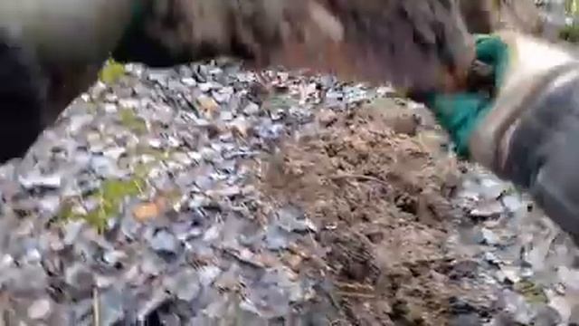 ЗДЕСЬ ЖЕЛЕЗО РАСТЕТ ПРЯМ ИЗ ДЕРЕВЬЕВ. коп металлолома. смотреть онлайн