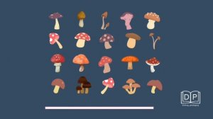 Игра для детей и взрослых. "Найди одинаковые" за 15 секунд. Развитие концентрации внимания