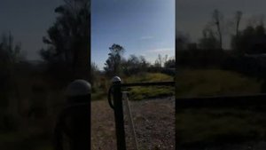 Хабаровский край , Бикинский район , с. Лермонтовка