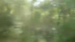 Вдоль Гирьяльского озера по трассе Оренбург-Орск