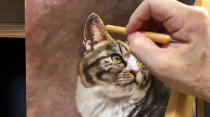 Painting a Cat in Oil | Time-lapse [Luca] | Cat Living in Fukashima / 【油絵】深島で出会った猫を描く タイムラプス