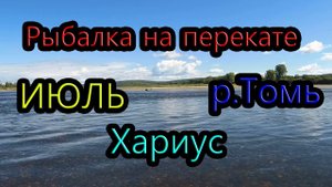 Ловля хариуса на перекате в июле, р.Томь, Крапивино