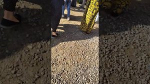 01 04 2023 Шанбе Бозори Нохияй Фархор