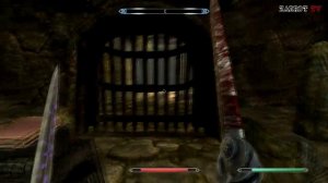Прохождение Skyrim - часть 126 (Вольскигге)