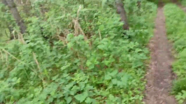 Кто из нас пройдëт или проедет больше Км 