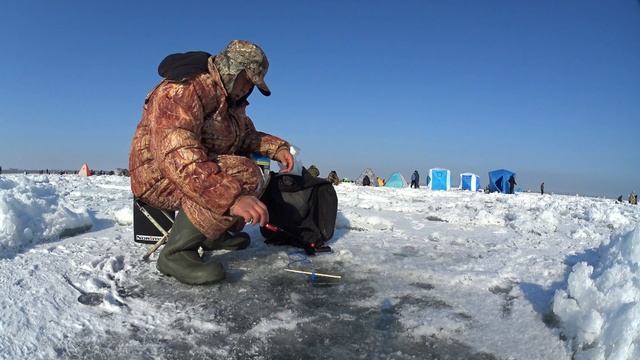 Капчагайская рыбалка, клёв воблы. смотреть онлайн
