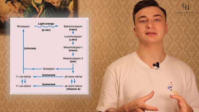 Куриная слепота (гемералопия, никталопия) | Биохимия