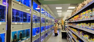 Пробежимся по АкваИнтерио, это самый большой в Питере аквариумный магазин, где я работаю.