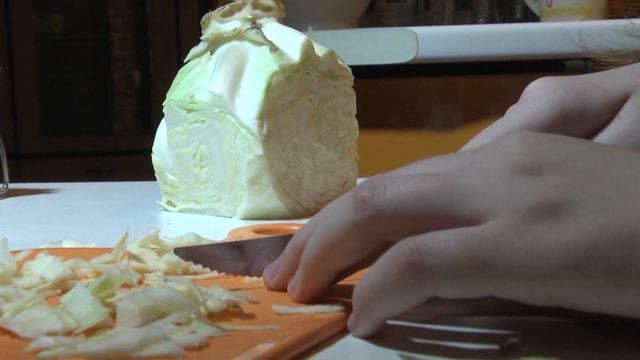 Сюжет Леи про черепаху