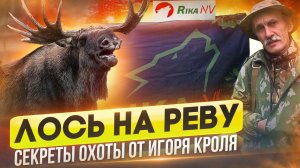 Охота на лося на вабу, на реву, гону! Игорь Кроль раскрывает секреты самой интересной охоты в России