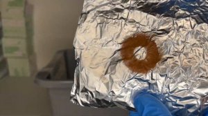 How to Collect Mushroom Spores | Spore Print & Swab