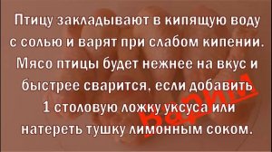 Раскрываем секреты как вкусно готовить птицу. Все секреты курицы, гуся и утки. Как выбрать птицу?