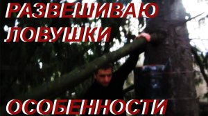 Развешиваю ловушки на бродячие рои пчёл.  Важно учитывать ход солнца. Чем приманить рой в ловушку